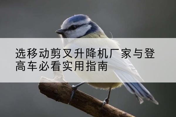拉萨电动升降机厂家-选移动剪叉升降机厂家与登高车必看实用指南