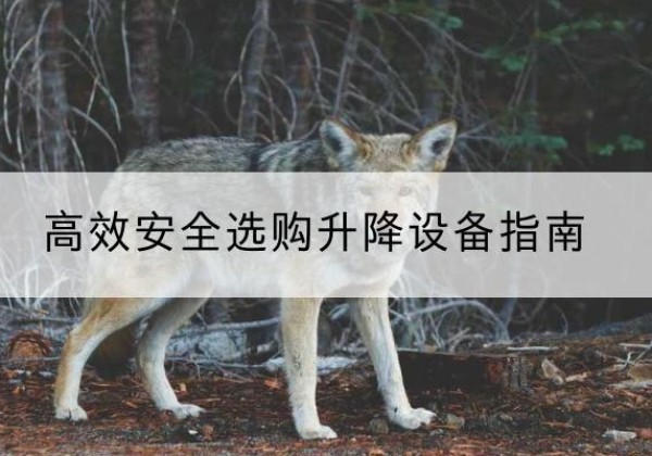 拉萨升降货梯厂家推荐-*安全选购升降设备指南
