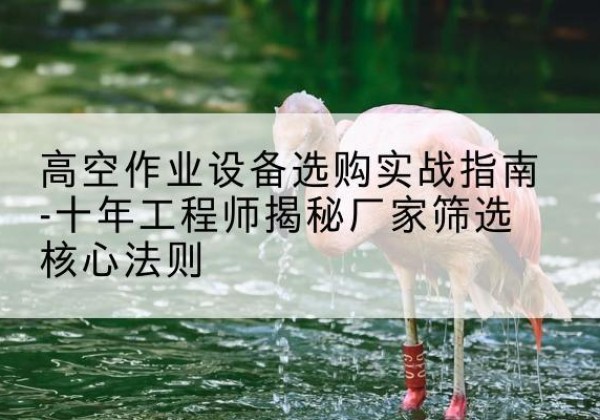 拉萨剪叉式升降机厂家-高空作业设备选购实战指南-十年工程师揭秘厂家筛选核心法则